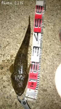 �ޥ��������ޥ�