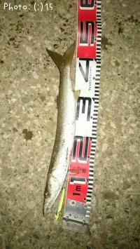 �ޥ��������ޥ�