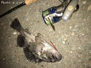 ¥¿¥±¥Î¥³¥á¥Ð¥ë