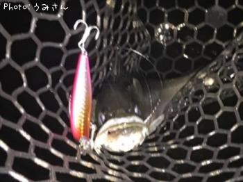 �����Х�