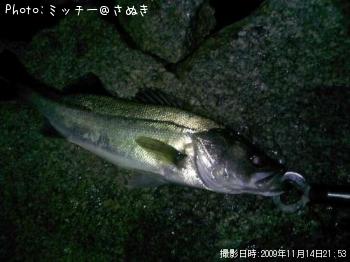 �ޥ륹����