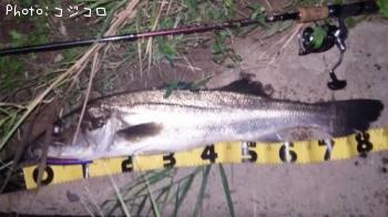 �����Х�