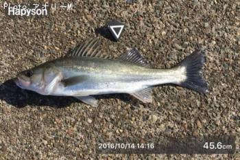 �����Х�