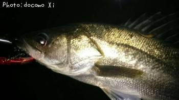 �����Х�