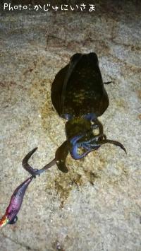 �����ꥤ��