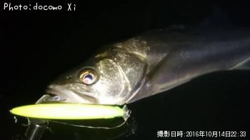 �����Х�