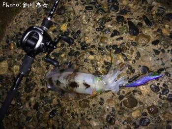 �����ꥤ��