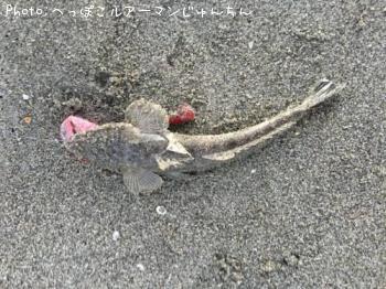 �ޥ���