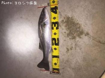 �����Х�