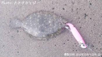 �ҥ��ʥ����ˡġʾС�