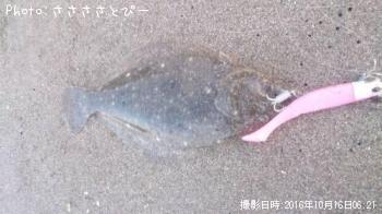 �ҥ��ʥ����ˡġʾС�