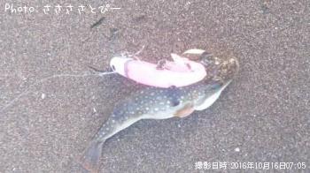 �ҥ��ʥ����ˡġʾС�