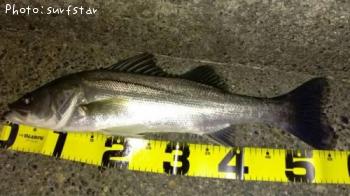 �����Х�