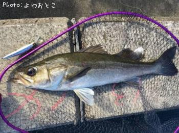 �����Х�