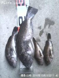 ¿¿¥½¥¤¡õ¥á¥Ð¥ë