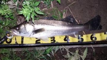 �����Х�