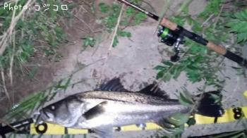 �����Х�