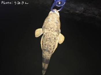 �ޥ���