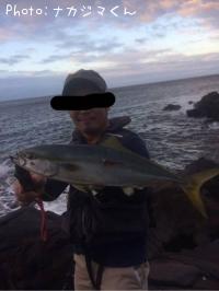 ¥ä¥º¡¦¥µ¥´¥·