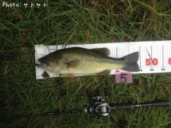 ¥Ö¥é¥Ã¥¯¥Ð¥¹