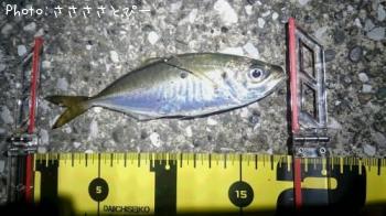 �����Х�����������Х�