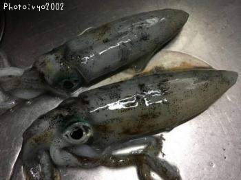 �����ꥤ��