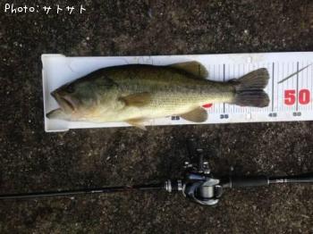 ¥Ö¥é¥Ã¥¯¥Ð¥¹