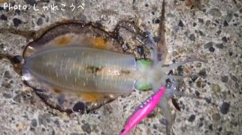 �����ꥤ��