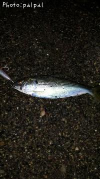 ���Υ���