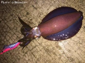 �����ꥤ��