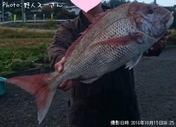 �ޥ���