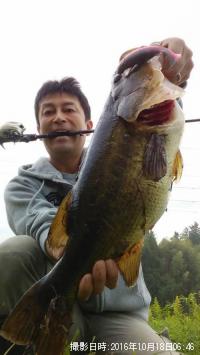 �֥�å��Х�