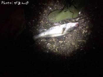 �����Х�