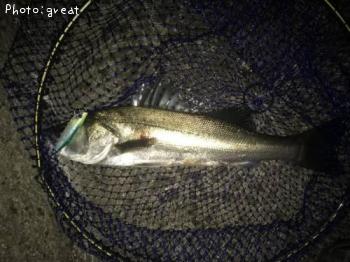 �����Х�