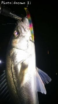 �����Х�