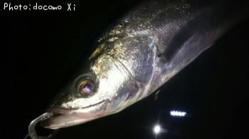 �����Х�