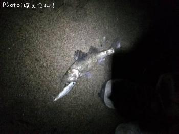 �����Х�