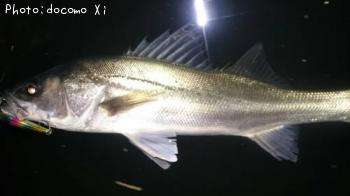 �����Х�