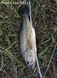 �֥�å��Х�