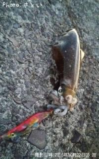 �����ꥤ��