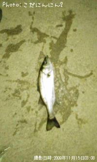 �����Х�