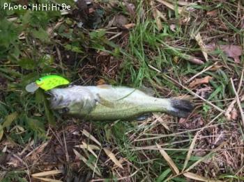 ¥Ö¥é¥Ã¥¯¥Ð¥¹