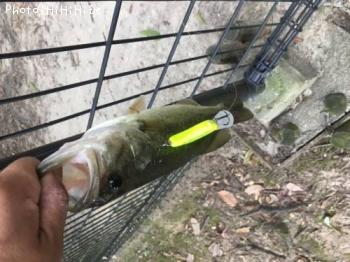 �֥�å��Х�