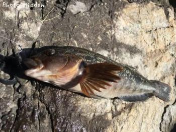 �����ʥ�