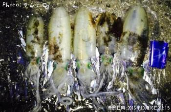 ¥¢¥ª¥ê¥¤¥«