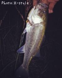 ¥Ö¥é¥Ã¥¯¥Ð¥¹