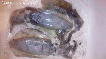 ¥¢¥ª¥ê¥¤¥«