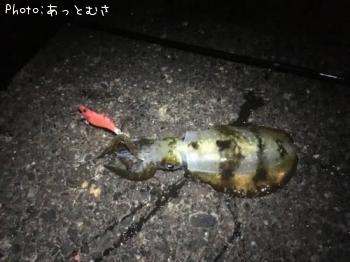 �����ꥤ��