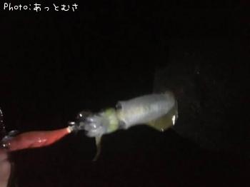 �����ꥤ��