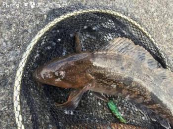 �����ʥ�